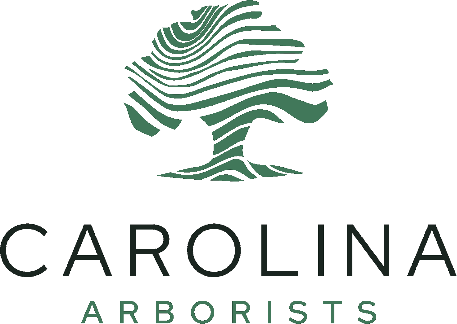 Carolina Arborists